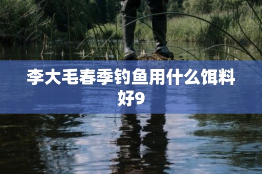 李大毛春季钓鱼用什么饵料好9