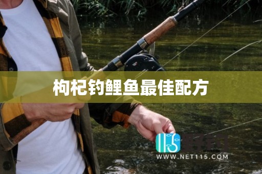 枸杞钓鲤鱼最佳配方
