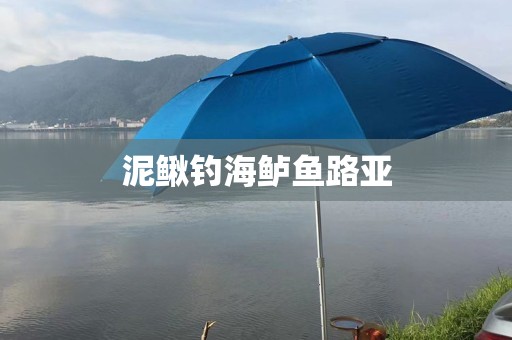 泥鳅钓海鲈鱼路亚