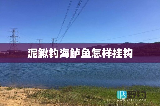 泥鳅钓海鲈鱼怎样挂钩