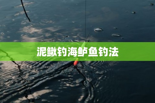 泥鳅钓海鲈鱼钓法