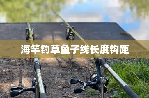 海竿钓草鱼子线长度钩距