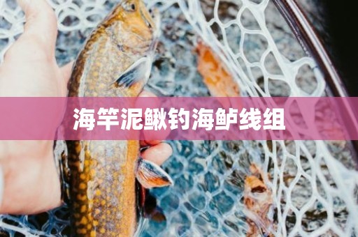 海竿泥鳅钓海鲈线组