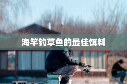 海竿钓草鱼的最佳饵料