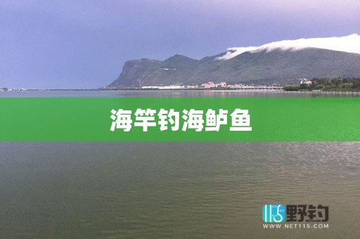 海竿钓海鲈鱼