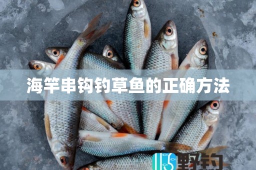 海竿串钩钓草鱼的正确方法