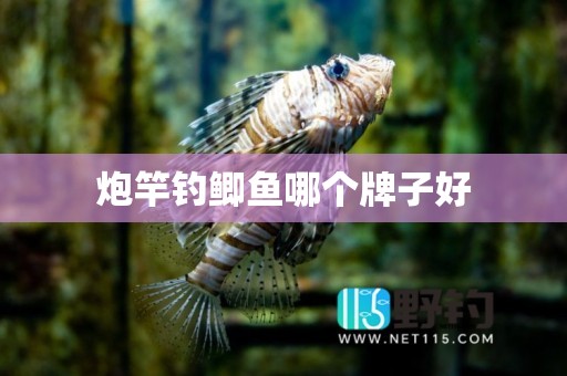 炮竿钓鲫鱼哪个牌子好