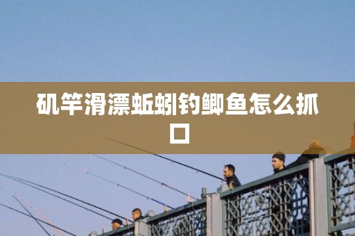 矶竿滑漂蚯蚓钓鲫鱼怎么抓口