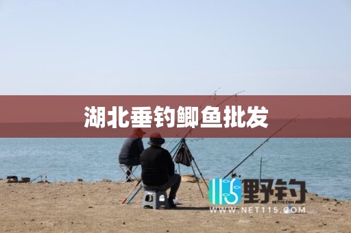 湖北垂钓鲫鱼批发