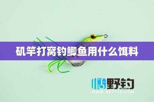 矶竿打窝钓鲫鱼用什么饵料
