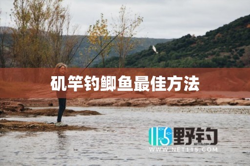 矶竿钓鲫鱼最佳方法
