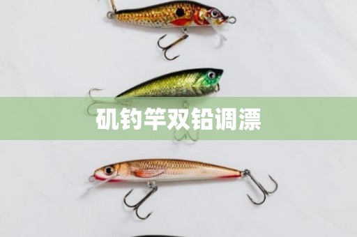 矶钓竿双铅调漂