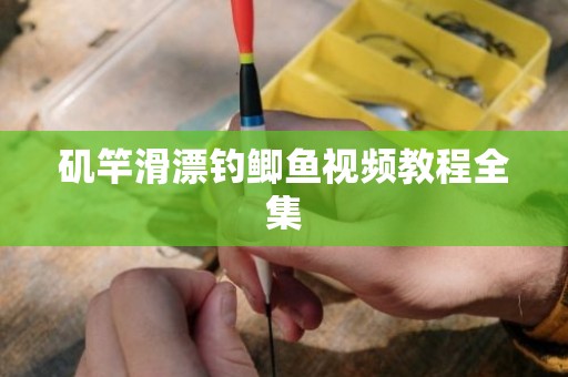 矶竿滑漂钓鲫鱼视频教程全集