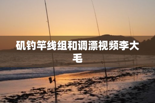矶钓竿线组和调漂视频李大毛