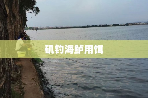 矶钓海鲈用饵