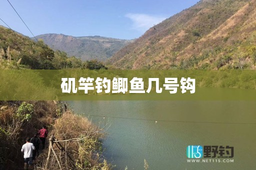 矶竿钓鲫鱼几号钩
