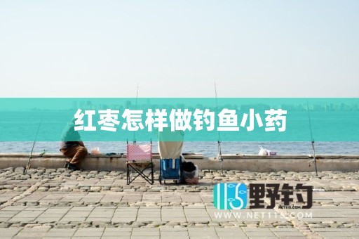 红枣怎样做钓鱼小药