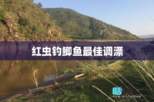红虫钓鲫鱼最佳调漂