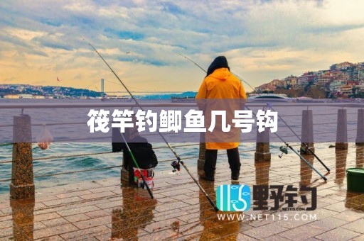 筏竿钓鲫鱼几号钩