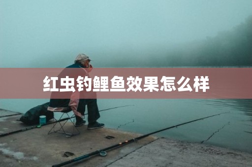 红虫钓鲤鱼效果怎么样