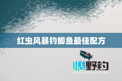 红虫风暴钓鲫鱼最佳配方