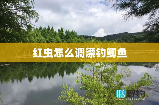 红虫怎么调漂钓鲫鱼