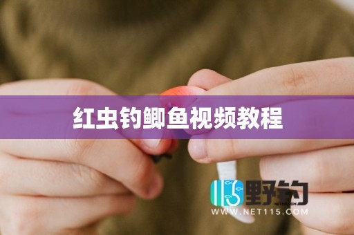 红虫钓鲫鱼视频教程