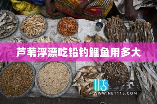 芦苇浮漂吃铅钓鲤鱼用多大