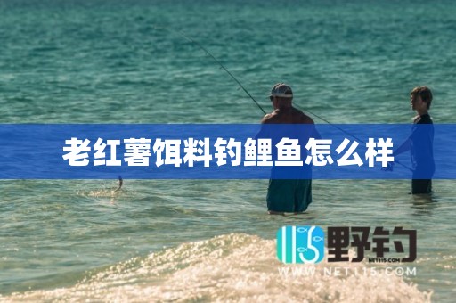 老红薯饵料钓鲤鱼怎么样