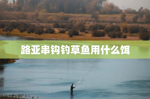 路亚串钩钓草鱼用什么饵