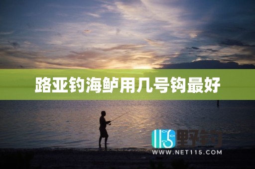 路亚钓海鲈用几号钩最好