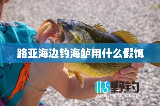 路亚海边钓海鲈用什么假饵
