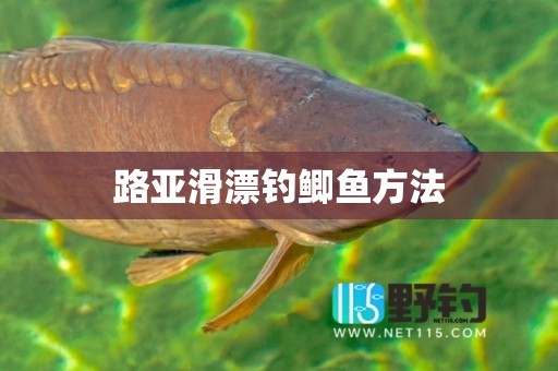 路亚滑漂钓鲫鱼方法