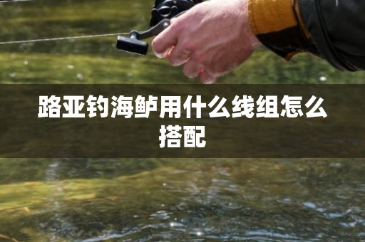 路亚钓海鲈用什么线组怎么搭配