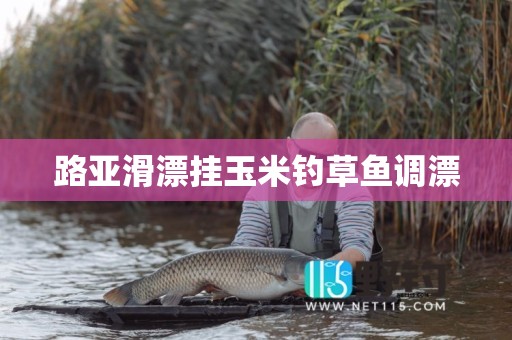 路亚滑漂挂玉米钓草鱼调漂