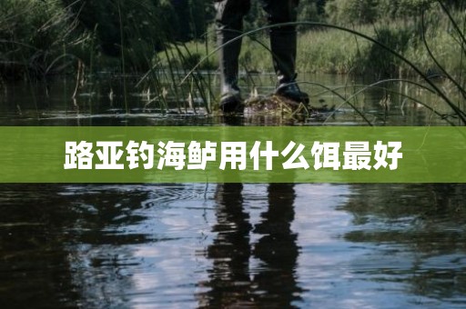 路亚钓海鲈用什么饵最好