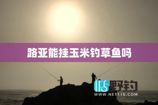 路亚能挂玉米钓草鱼吗