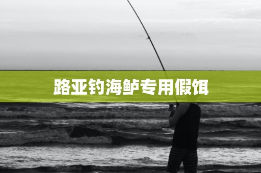 路亚钓海鲈专用假饵