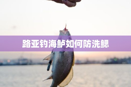 路亚钓海鲈如何防洗鳃