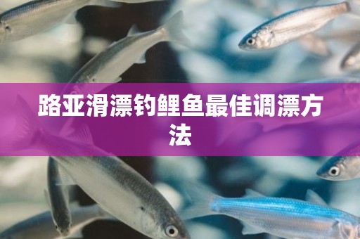 路亚滑漂钓鲤鱼最佳调漂方法