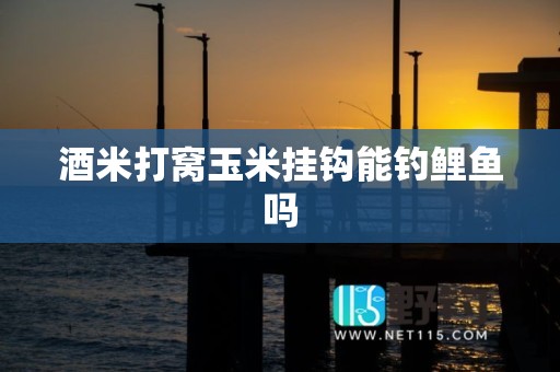酒米打窝玉米挂钩能钓鲤鱼吗