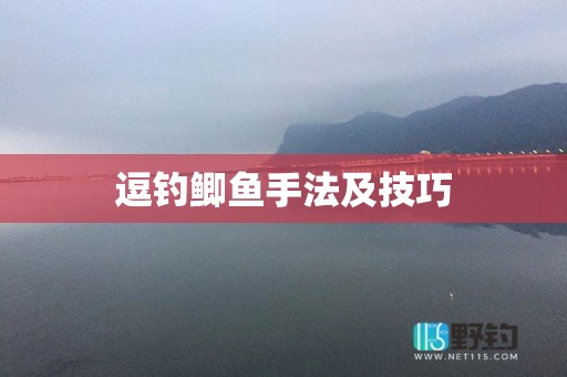 逗钓鲫鱼手法及技巧