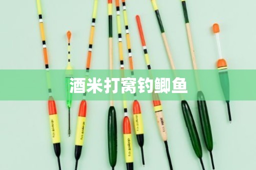 酒米打窝钓鲫鱼