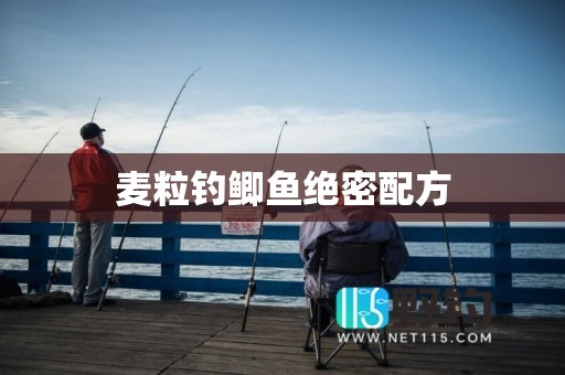 麦粒钓鲫鱼绝密配方