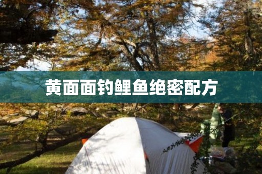 黄面面钓鲤鱼绝密配方