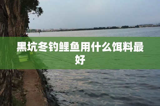 黑坑冬钓鲤鱼用什么饵料最好