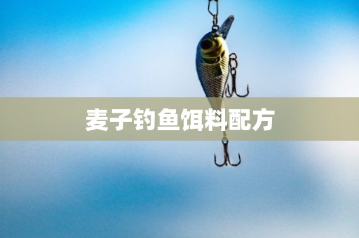 麦子钓鱼饵料配方