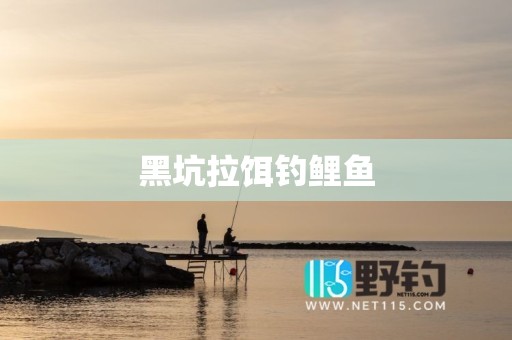 黑坑拉饵钓鲤鱼