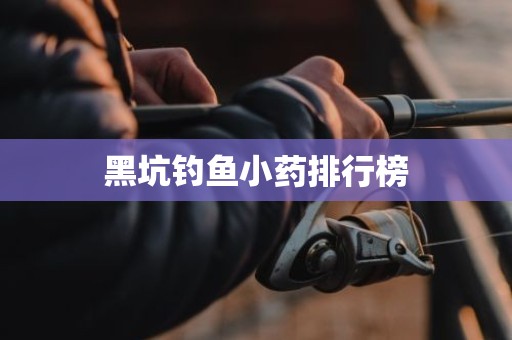 黑坑钓鱼小药排行榜