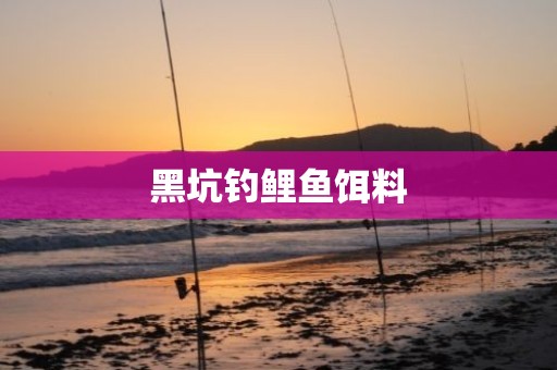 黑坑钓鲤鱼饵料